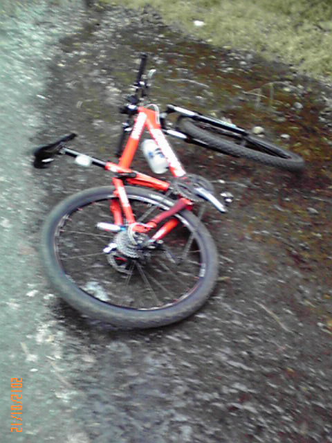 b0222530_13402668.jpg