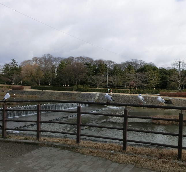 f0237037_13304939.jpg