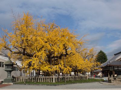 c0148238_13505655.jpg