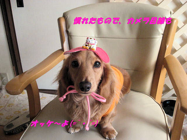 a0149240_19114239.jpg