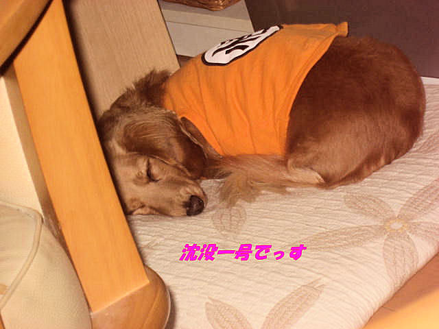 a0149240_19241616.jpg