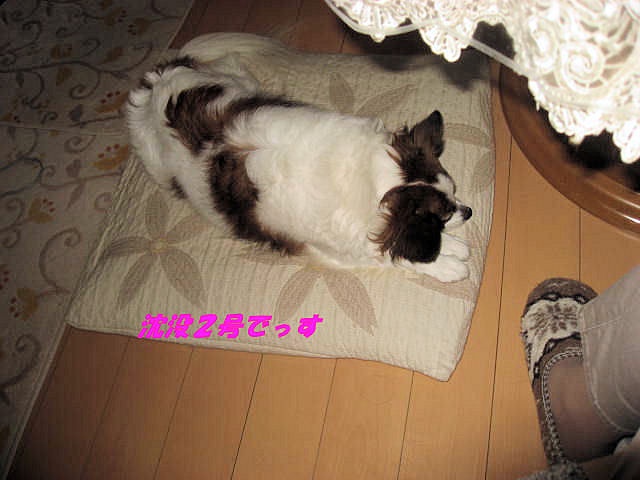 a0149240_1925380.jpg