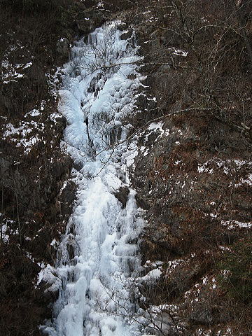 f0094843_1104152.jpg