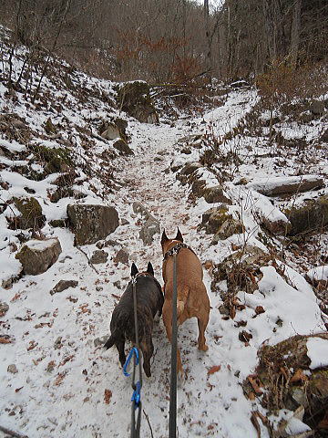 f0094843_1191715.jpg