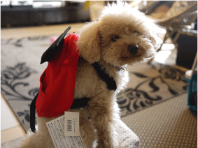 b0182846_18183450.gif