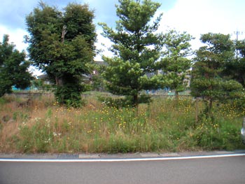 d0025555_9102548.jpg