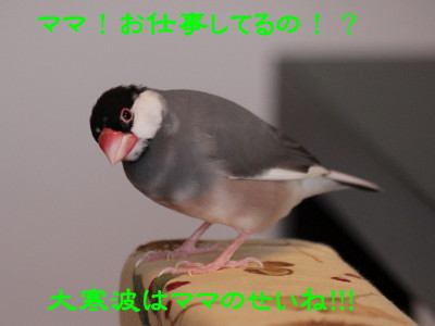 b0158061_201554100.jpg