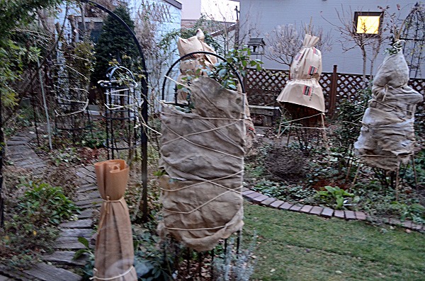 d0244364_1925322.jpg