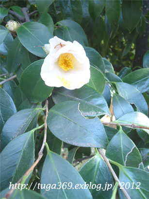 e0029472_23105085.jpg