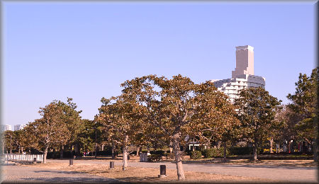 e0099375_23275761.jpg