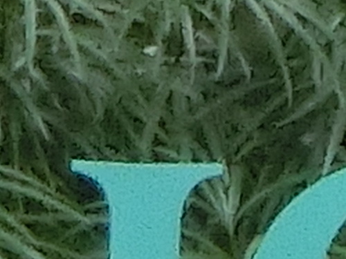 a0002177_15272426.jpg
