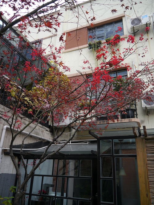 f0167281_22135560.jpg