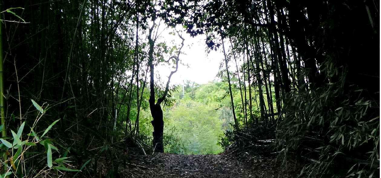 f0190781_23273036.jpg