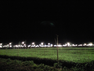 d0240983_21184338.jpg