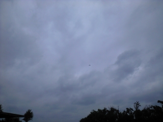 d0240983_21241190.jpg