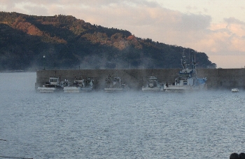 f0003283_18334014.jpg