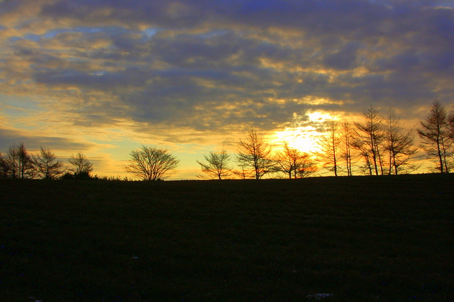 b0203588_121440.jpg