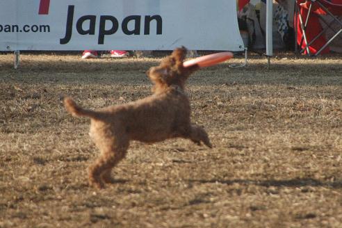 c0123890_20143348.jpg