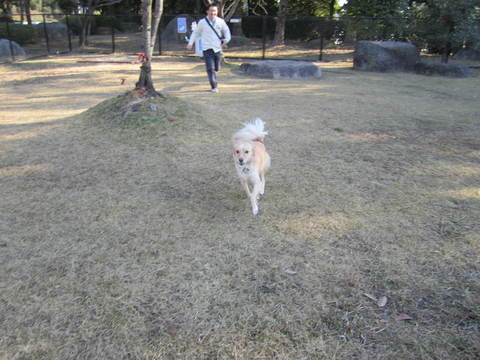 c0196992_15543355.jpg