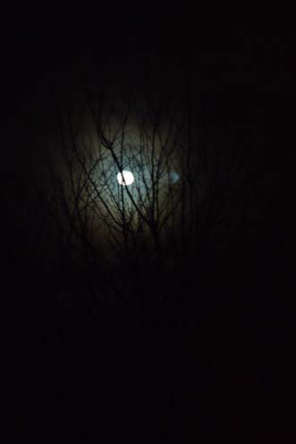 f0222692_102834100.jpg