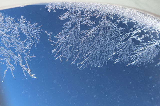 c0074000_22102935.jpg