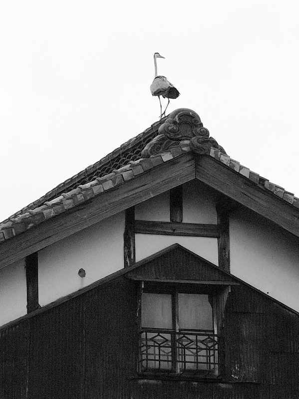 b0138101_701162.jpg