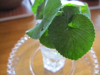 c0152002_182077.jpg