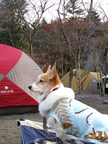 e0022303_1814214.jpg