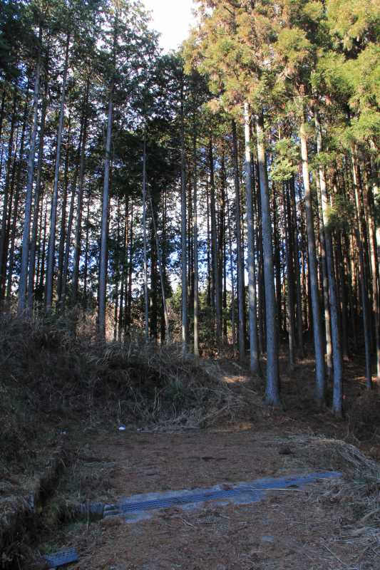 a0188405_10541557.jpg