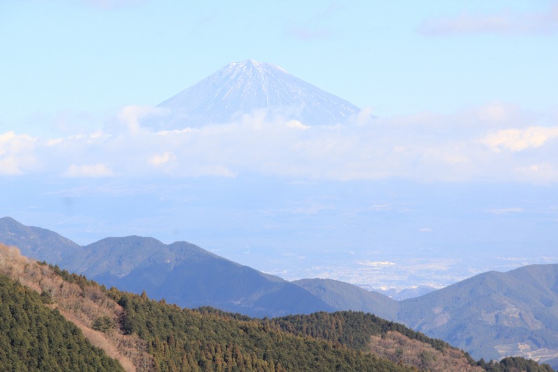 a0188405_114575.jpg