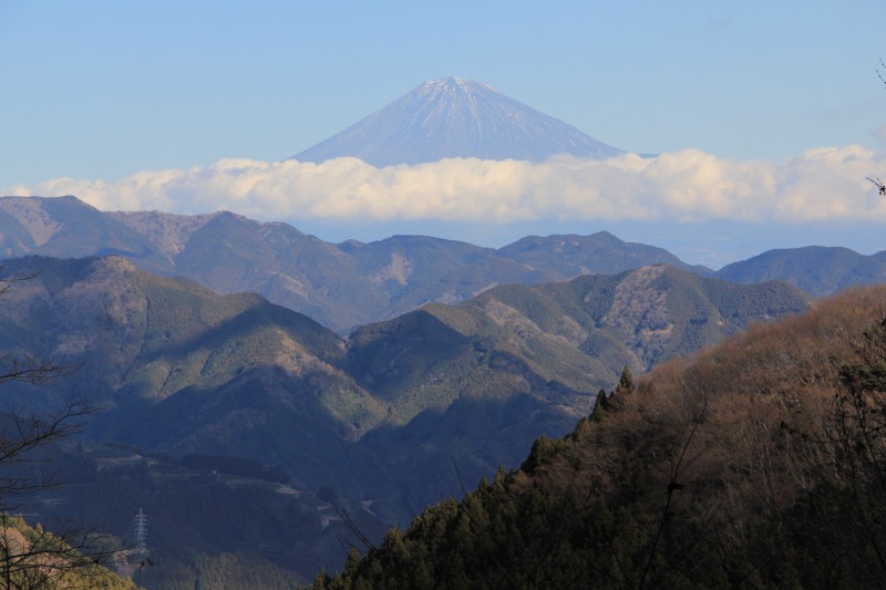 a0188405_1175826.jpg