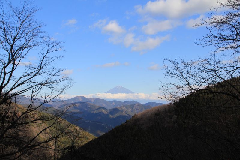 a0188405_1181287.jpg