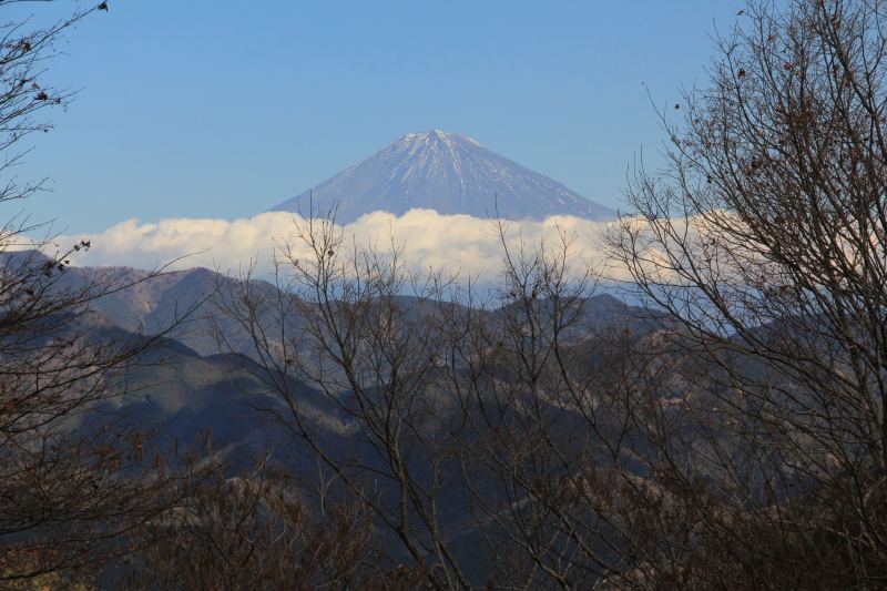 a0188405_1183760.jpg