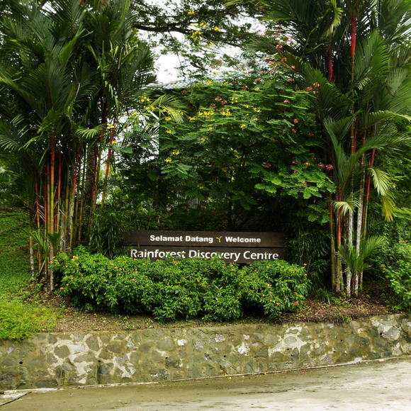 e0142611_018219.jpg