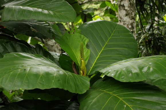 e0142611_0224796.jpg