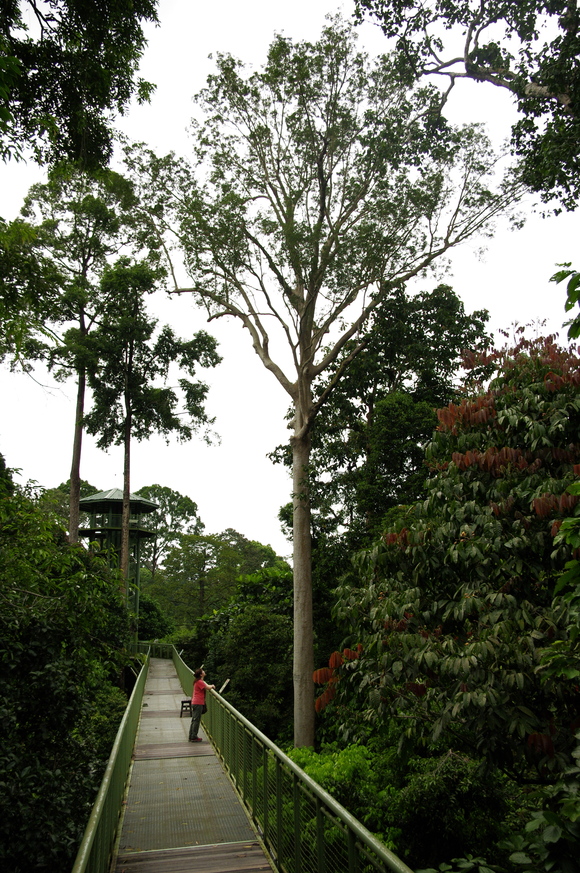 e0142611_0233888.jpg