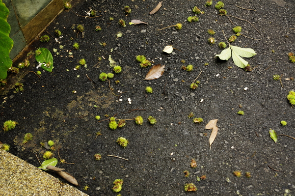 e0142611_0252249.jpg
