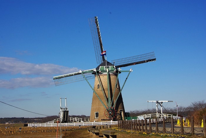 d0147812_1621147.jpg