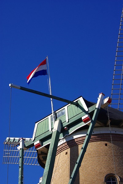 d0147812_162351.jpg