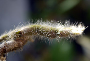 e0168016_17152137.jpg