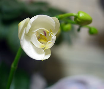 e0168016_17302731.jpg