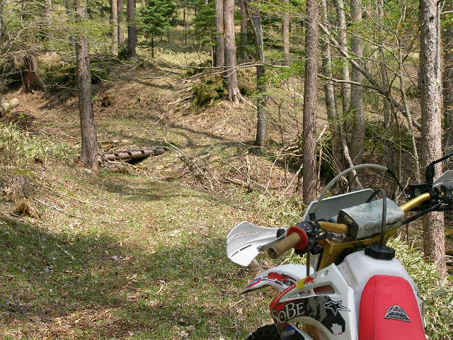 c0223419_0295139.jpg