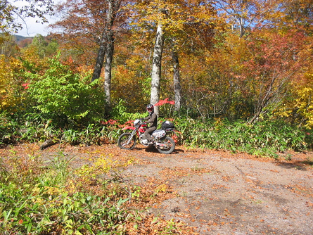 c0223419_0381282.jpg
