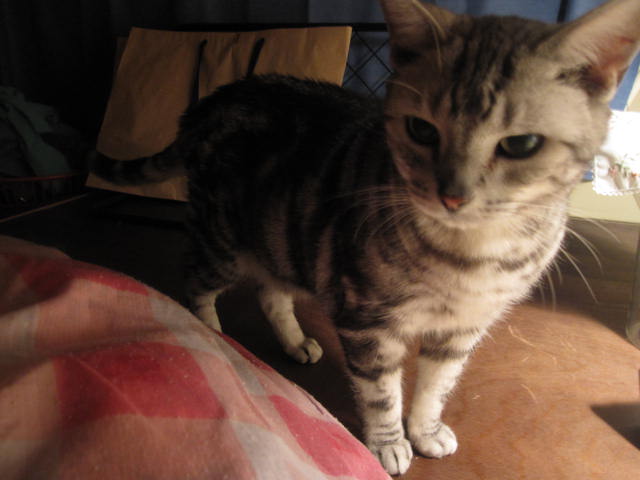 e0191826_23242139.jpg
