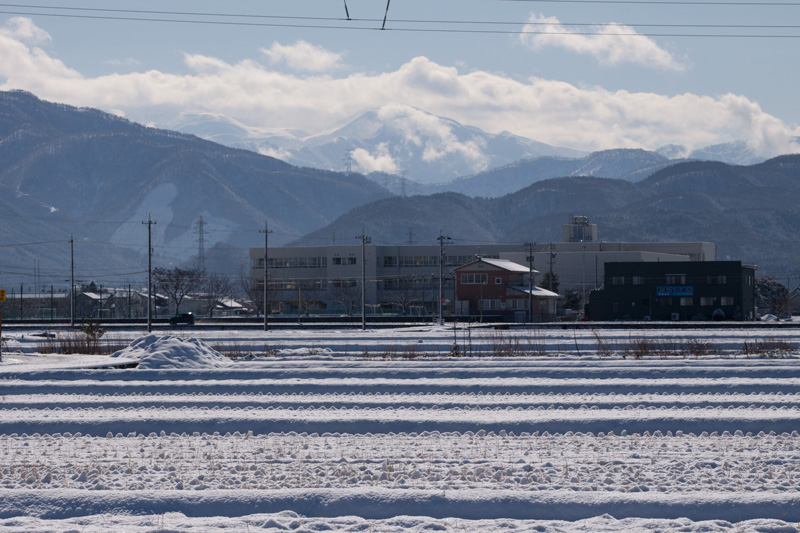 b0177233_5293251.jpg