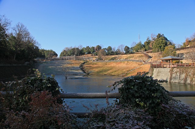 a0242438_1913253.jpg