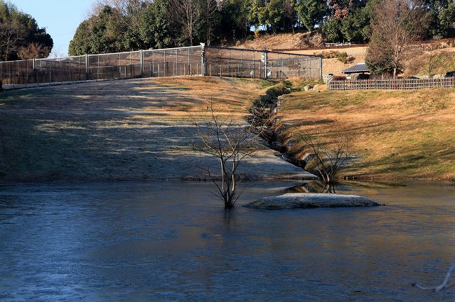 a0242438_1913837.jpg