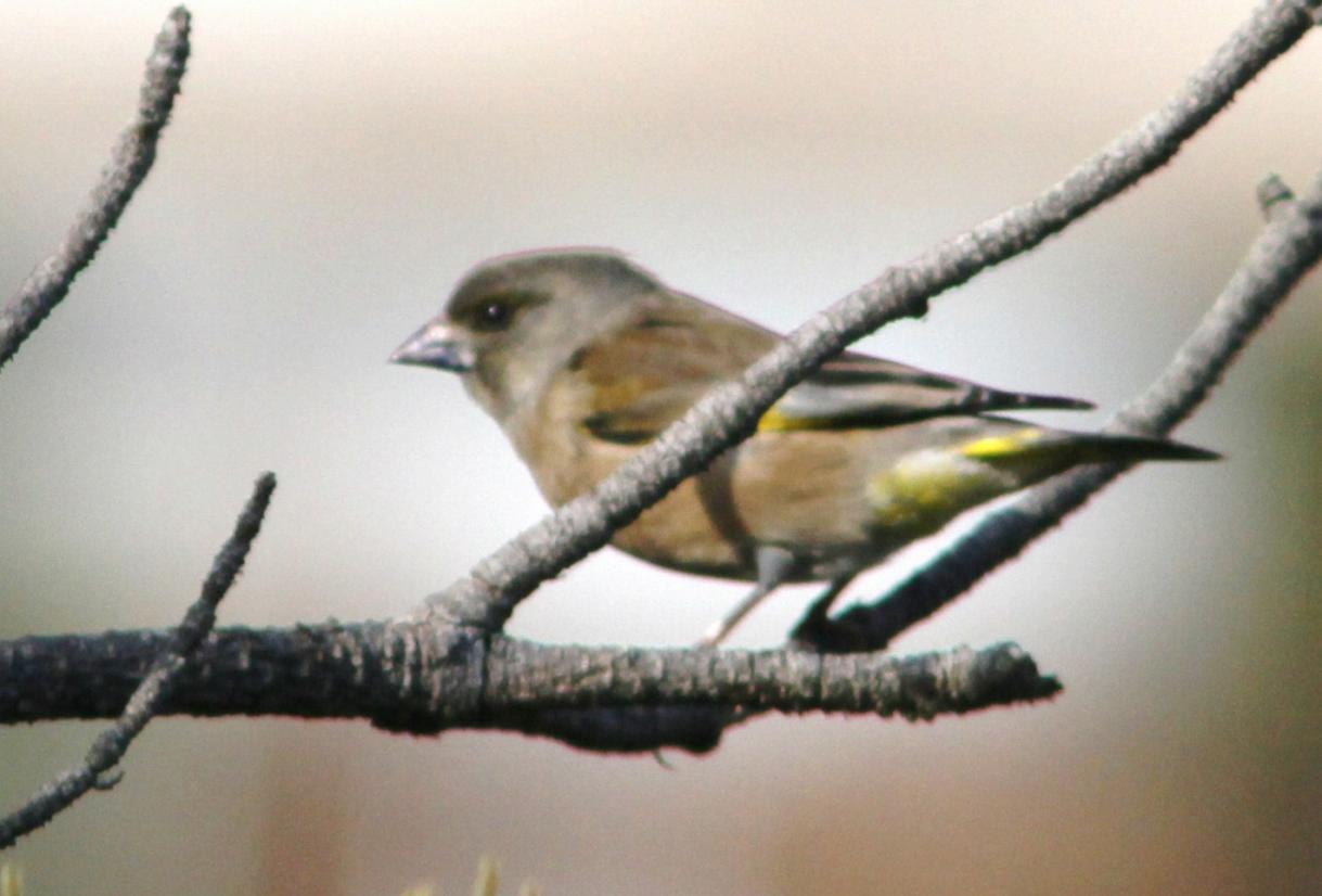 c0172139_2047583.jpg
