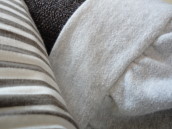 c0192740_169497.jpg
