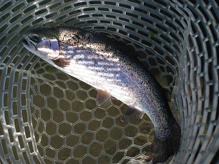 f0065341_21315039.jpg